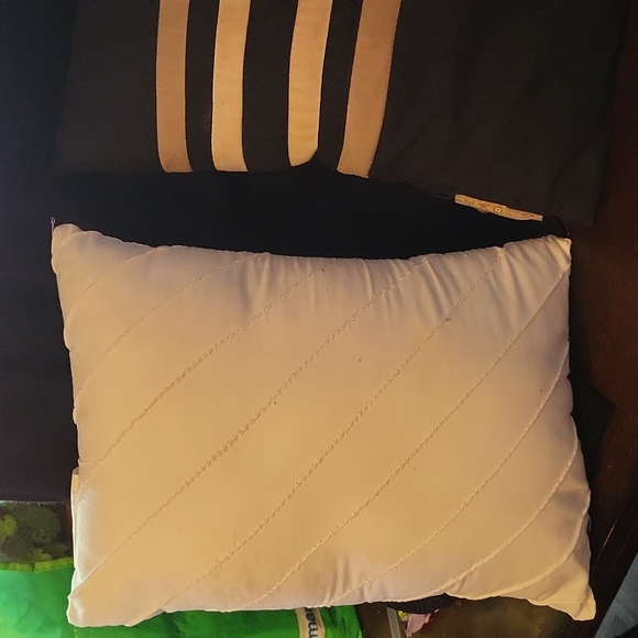 Pillows - Picture 2 of 3